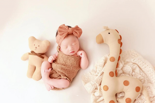 商洛宝宝虾的做法 商洛宝宝虾的做法